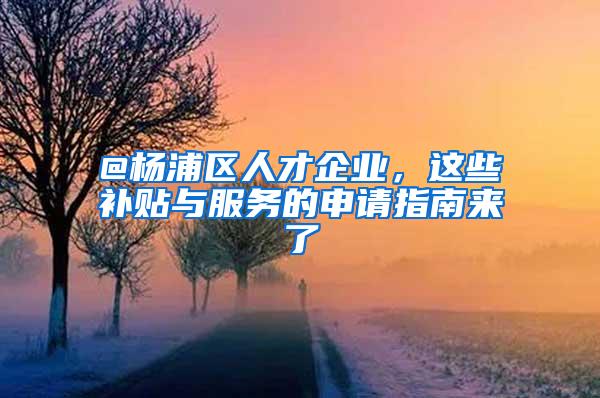 @杨浦区人才企业，这些补贴与服务的申请指南来了