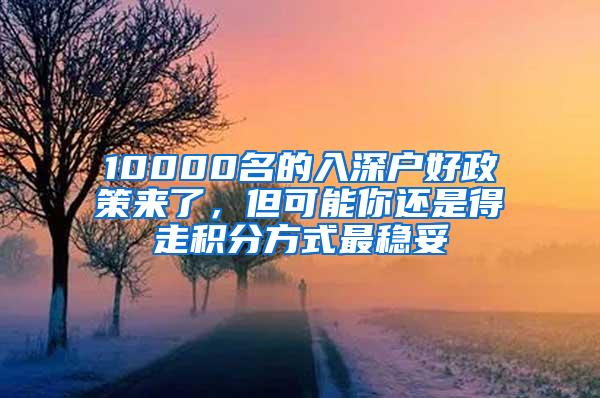 10000名的入深户好政策来了，但可能你还是得走积分方式最稳妥