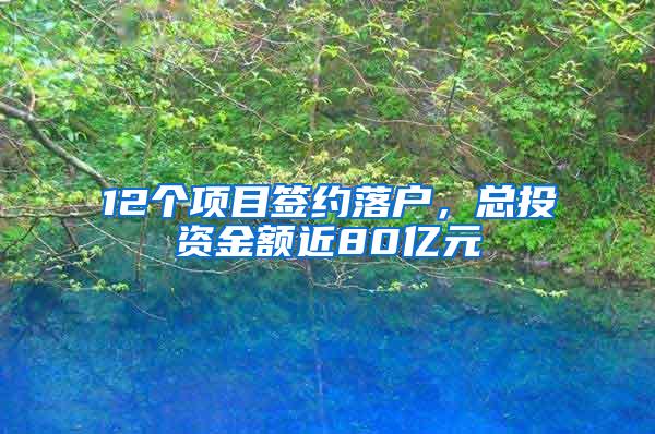 12个项目签约落户，总投资金额近80亿元