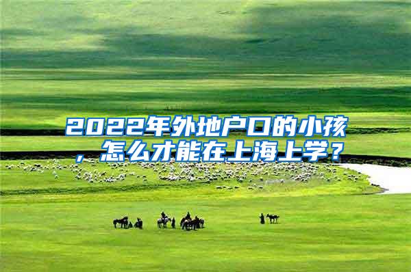 2022年外地户口的小孩，怎么才能在上海上学？