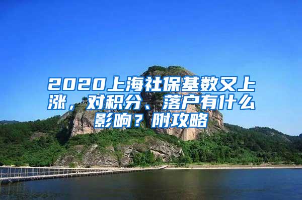 2020上海社保基数又上涨，对积分、落户有什么影响？附攻略