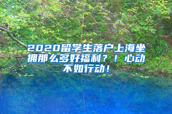 2020留学生落户上海坐拥那么多好福利？！心动不如行动！