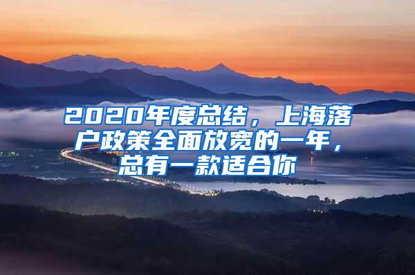 2020年度总结，上海落户政策全面放宽的一年，总有一款适合你