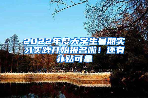 2022年度大学生暑期实习实践开始报名啦！还有补贴可拿→