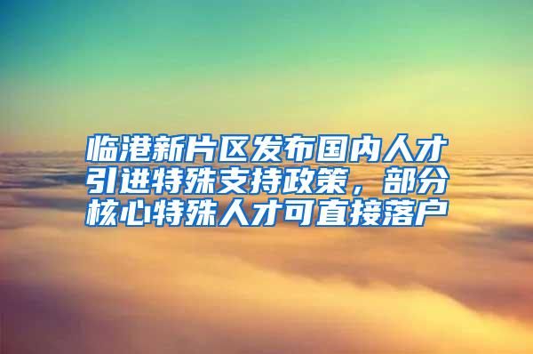 临港新片区发布国内人才引进特殊支持政策，部分核心特殊人才可直接落户