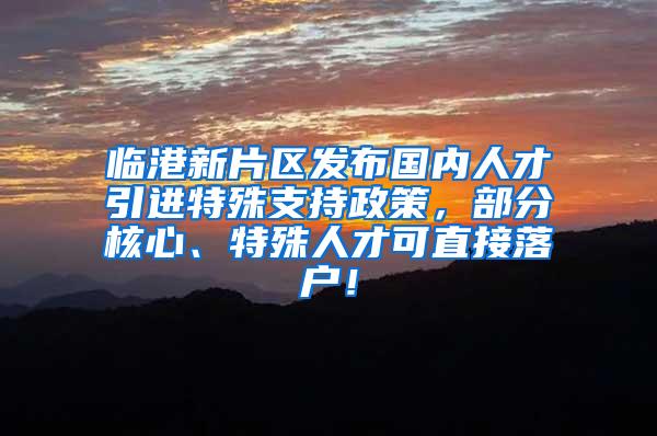 临港新片区发布国内人才引进特殊支持政策，部分核心、特殊人才可直接落户！