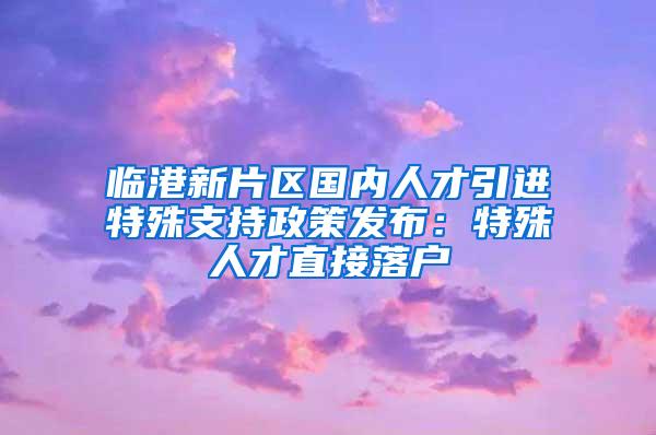 临港新片区国内人才引进特殊支持政策发布：特殊人才直接落户