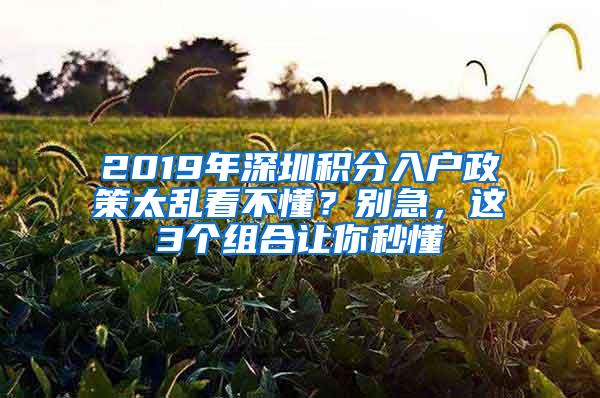 2019年深圳积分入户政策太乱看不懂？别急，这3个组合让你秒懂