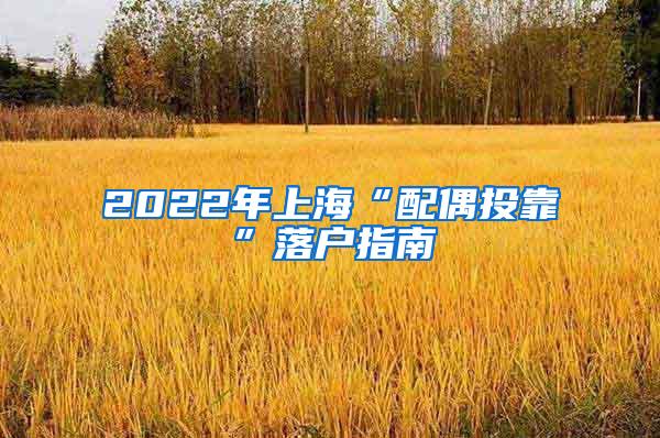 2022年上海“配偶投靠”落户指南