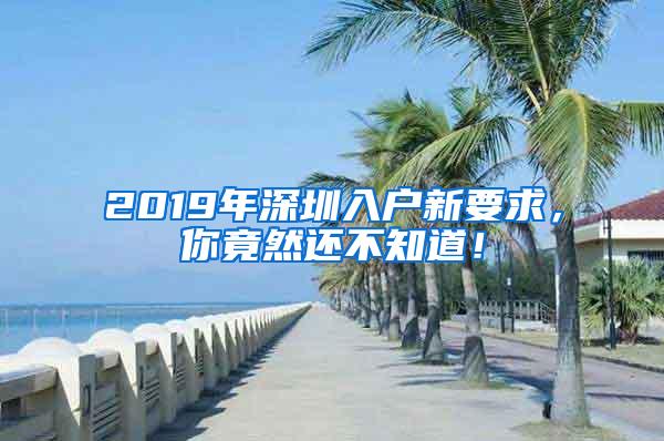 2019年深圳入户新要求，你竟然还不知道！