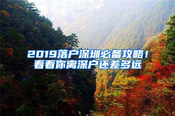 2019落户深圳必备攻略！看看你离深户还差多远