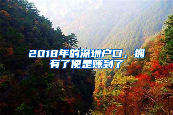 2018年的深圳户口，拥有了便是赚到了