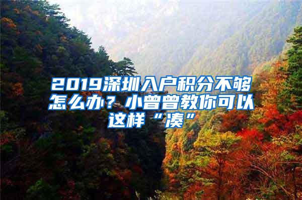 2019深圳入户积分不够怎么办？小曾曾教你可以这样“凑”