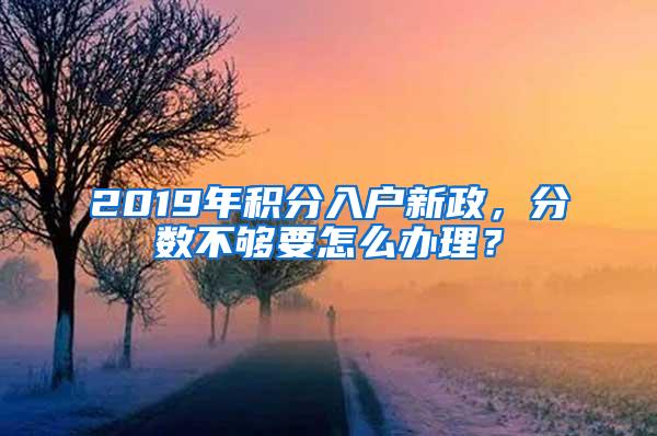 2019年积分入户新政，分数不够要怎么办理？