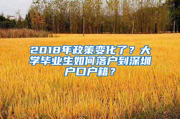 2018年政策变化了？大学毕业生如何落户到深圳户口户籍？