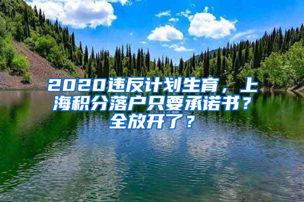 2020违反计划生育，上海积分落户只要承诺书？全放开了？