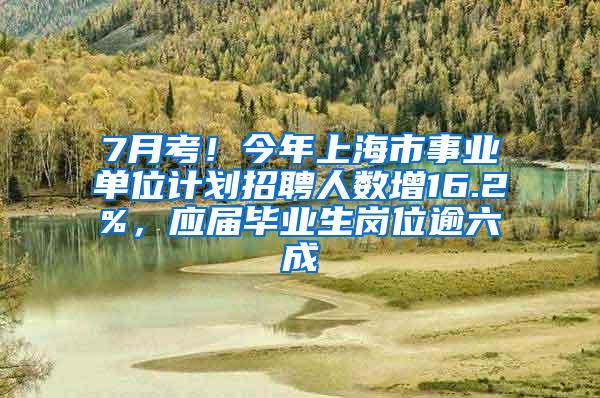 7月考！今年上海市事业单位计划招聘人数增16.2%，应届毕业生岗位逾六成