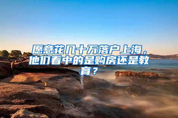 愿意花几十万落户上海，他们看中的是购房还是教育？