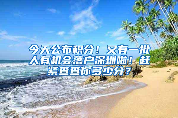 今天公布积分！又有一批人有机会落户深圳啦！赶紧查查你多少分？