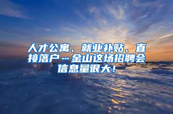 人才公寓、就业补贴、直接落户…金山这场招聘会信息量很大！