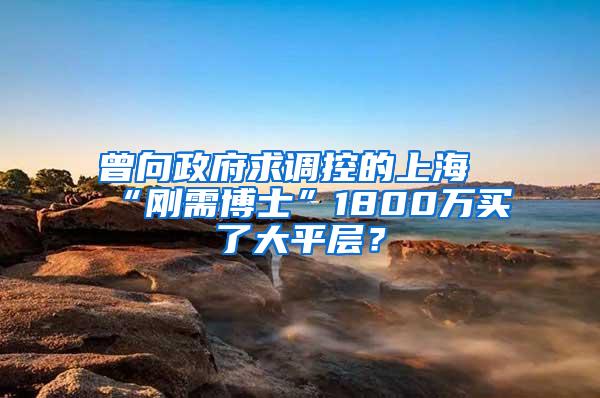 曾向政府求调控的上海“刚需博士”1800万买了大平层？