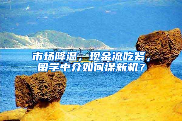 市场降温，现金流吃紧，留学中介如何谋新机？