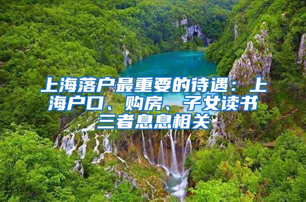 上海落户最重要的待遇：上海户口、购房、子女读书三者息息相关