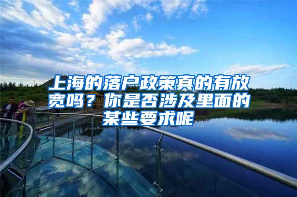 上海的落户政策真的有放宽吗？你是否涉及里面的某些要求呢