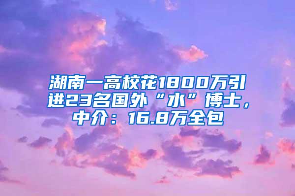 湖南一高校花1800万引进23名国外“水”博士，中介：16.8万全包