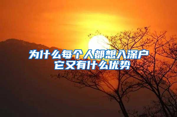 为什么每个人都想入深户 它又有什么优势