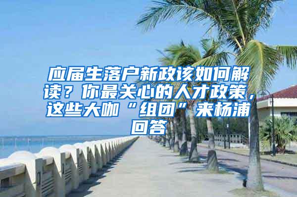 应届生落户新政该如何解读？你最关心的人才政策，这些大咖“组团”来杨浦回答