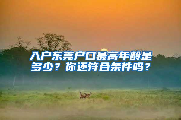 入户东莞户口最高年龄是多少？你还符合条件吗？