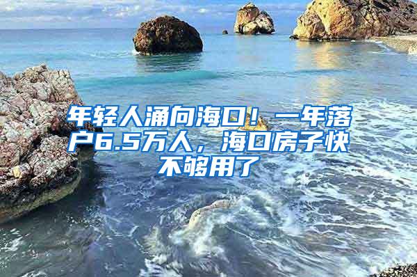 年轻人涌向海口！一年落户6.5万人，海口房子快不够用了