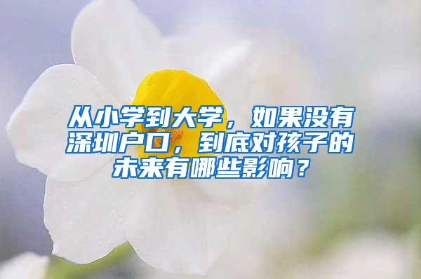 从小学到大学，如果没有深圳户口，到底对孩子的未来有哪些影响？