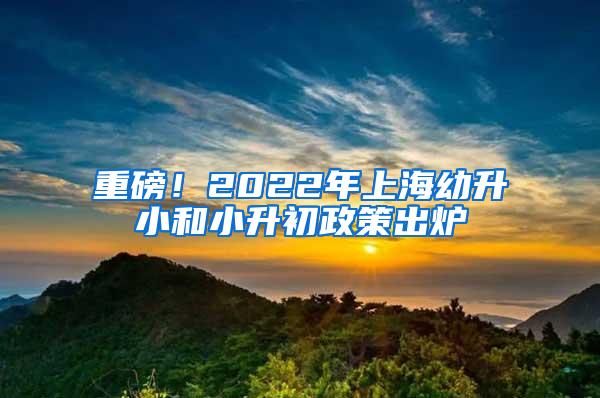 重磅！2022年上海幼升小和小升初政策出炉