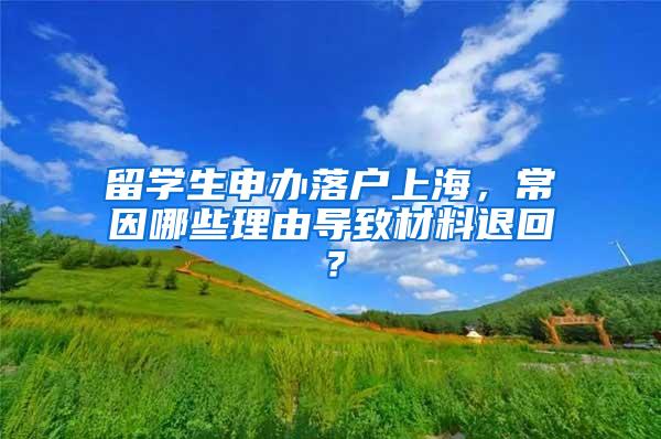 留学生申办落户上海，常因哪些理由导致材料退回？