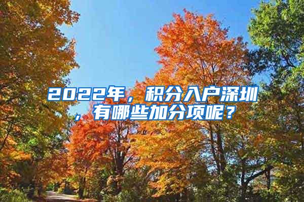 2022年，积分入户深圳，有哪些加分项呢？