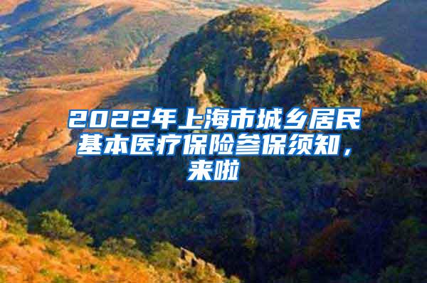 2022年上海市城乡居民基本医疗保险参保须知，来啦