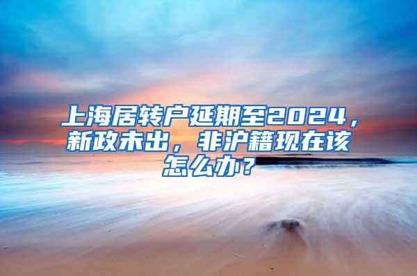 上海居转户延期至2024，新政未出，非沪籍现在该怎么办？