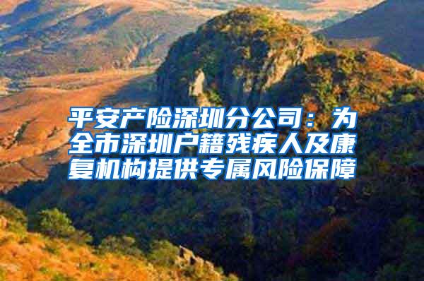 平安产险深圳分公司：为全市深圳户籍残疾人及康复机构提供专属风险保障