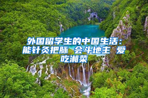 外国留学生的中国生活：能针灸把脉 会斗地主 爱吃湘菜