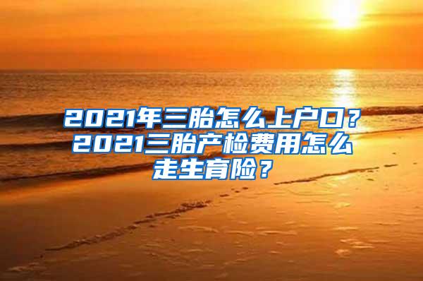 2021年三胎怎么上户口？2021三胎产检费用怎么走生育险？