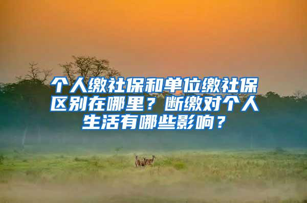 个人缴社保和单位缴社保区别在哪里？断缴对个人生活有哪些影响？