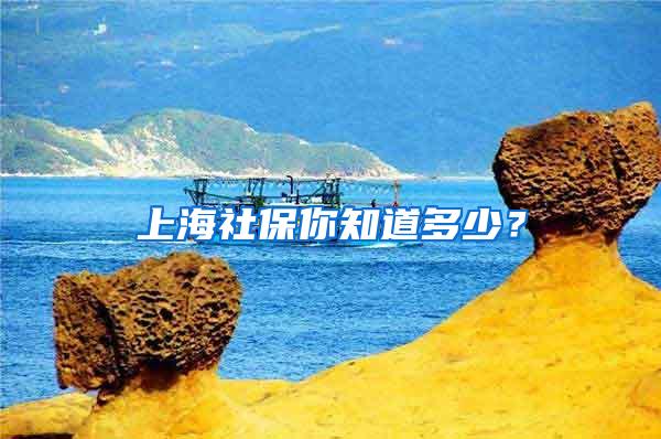 上海社保你知道多少？