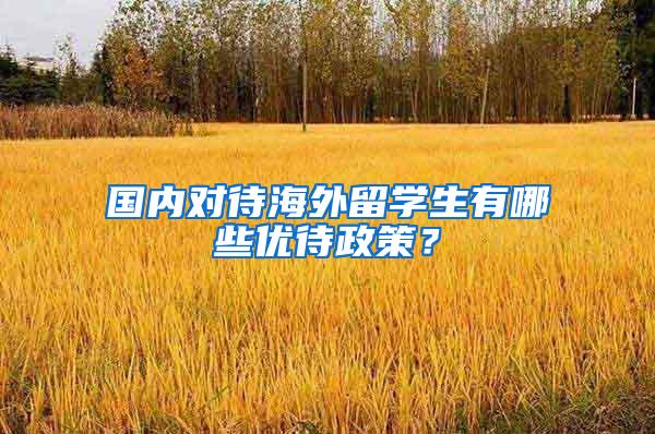 国内对待海外留学生有哪些优待政策？