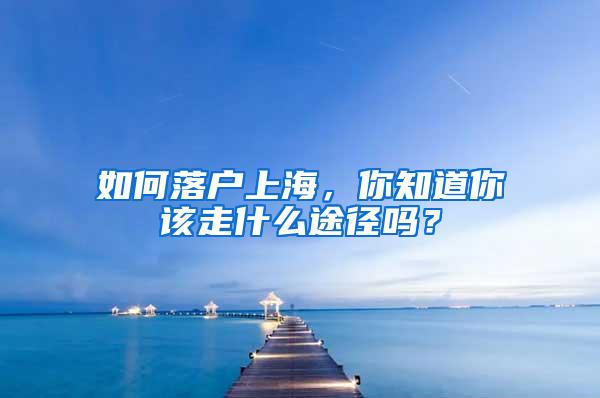 如何落户上海，你知道你该走什么途径吗？