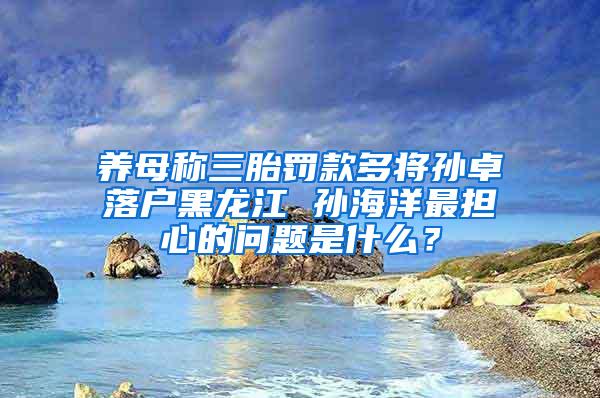 养母称三胎罚款多将孙卓落户黑龙江 孙海洋最担心的问题是什么？