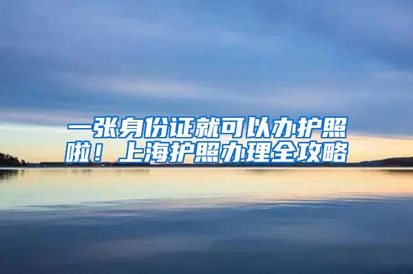 一张身份证就可以办护照啦！上海护照办理全攻略