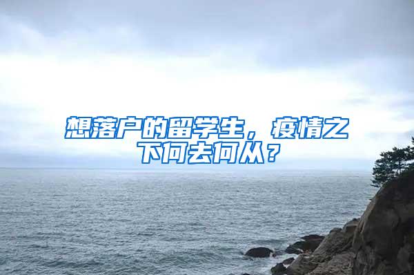 想落户的留学生，疫情之下何去何从？