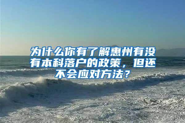 为什么你有了解惠州有没有本科落户的政策，但还不会应对方法？